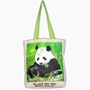 ECO Friendly Shopping Bags